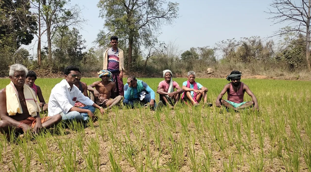  ପାଣି ଅଭାବରୁ ଧାନ ଫସଲ ନଷ୍ଟ, ଚାଷୀ ହତାଶ