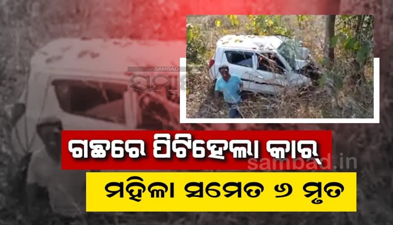  ନୂଆପଡ଼ରେ ଗଛକୁ ଶକ୍ତ ଧକ୍କା ଦେଲା ଦ୍ରୁତଗାମୀ କାର, ମହିଳା-ଶିଶୁ ସମେତ ୬ଜଣଙ୍କ ପ୍ରାଣବାୟୁ ଉଡିଗଲା