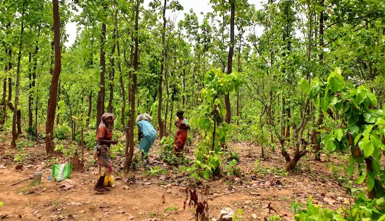  indiaclimatedialogue.net 