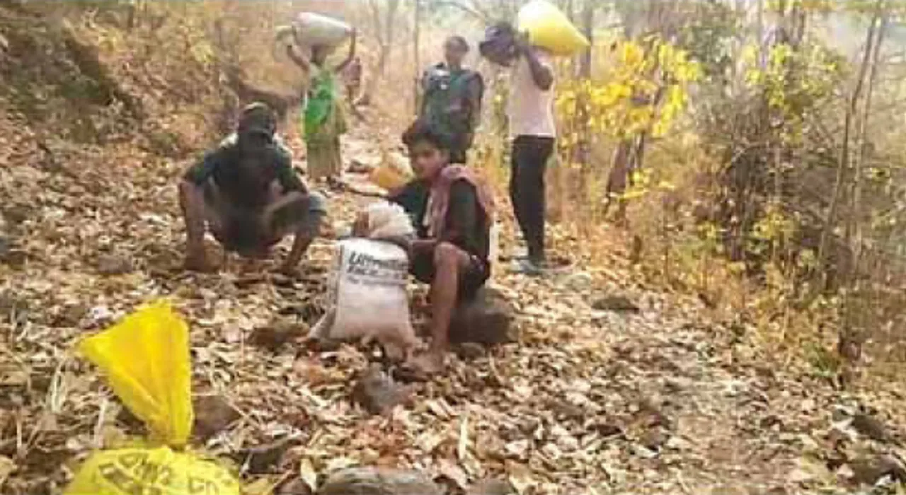  ଦୁଇ ଦୁର୍ଗମ ଅଞ୍ଚଳର ବାସ୍ତବ ଚିତ୍ର: ୫ ଟଙ୍କାର ରାସନ ପାଇଁ ୫୦୦ ଟଙ୍କା ଖର୍ଚ୍ଚ