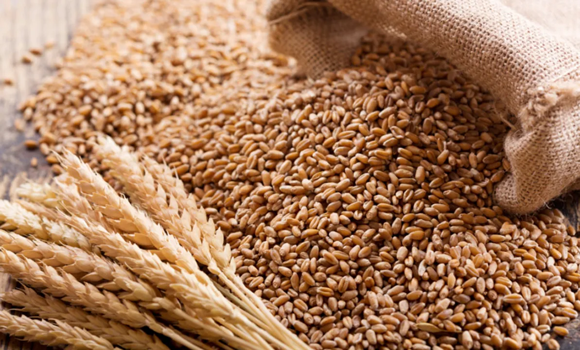 foodbusinessnews.net 