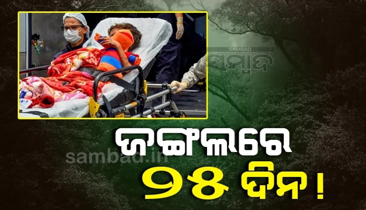  ଆମାଜନ ଜଙ୍ଗଲରେ ୨୫ଦିନ ବିତାଇଲେ ଦୁଇ ଶିିଶୁ, ବର୍ଷା ପାଣି ଓ ଜଙ୍ଗଲରେ ଥିବା ଫଳ ବଞ୍ଚାଇଥିଲା ଜୀବନ