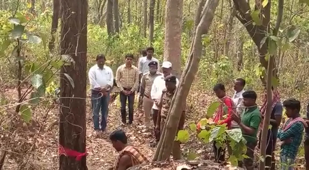  ପୁରୀ ରଥ ନିର୍ମାଣ ପାଇଁ ପଣ୍ଡାଖୋଲ ଜଙ୍ଗଲରୁ କାଠକଟା ଆରମ୍ଭ 