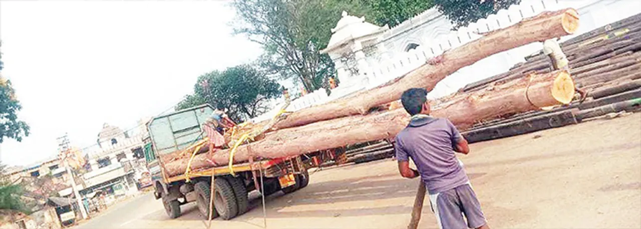  ରଥ ତି‌ଆରି ପାଇଁ ପହଞ୍ଚିଲା କାଠ