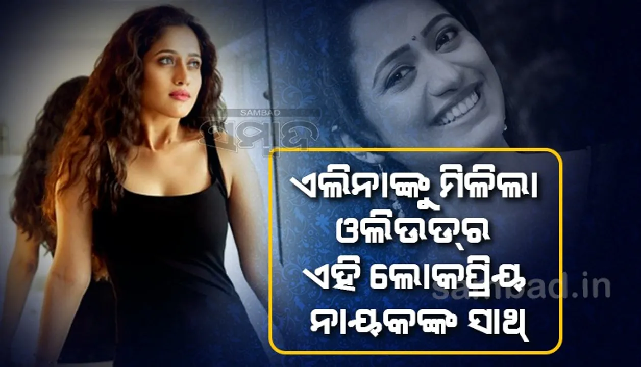  ଏଲିନାଙ୍କୁ ମିଳିଲା ଓଲିଉଡର ଏହି ଲୋକପ୍ରିୟ ନାୟକଙ୍କ ସାଥ୍