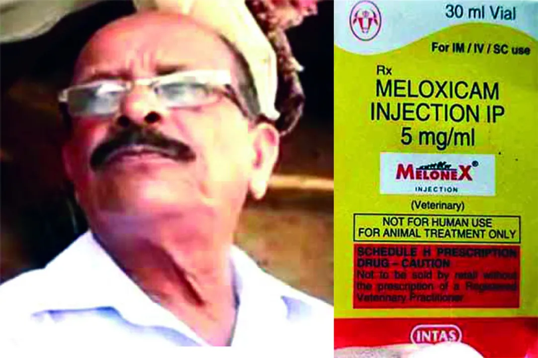 ମଣିଷଙ୍କୁ ପଶୁ ଇଞ୍ଜେକ୍ସନ୍‌: ଥାନାରେ ମାମଲା ରୁଜୁ ପରେ ଠକ ଡାକ୍ତର ଫେରାର