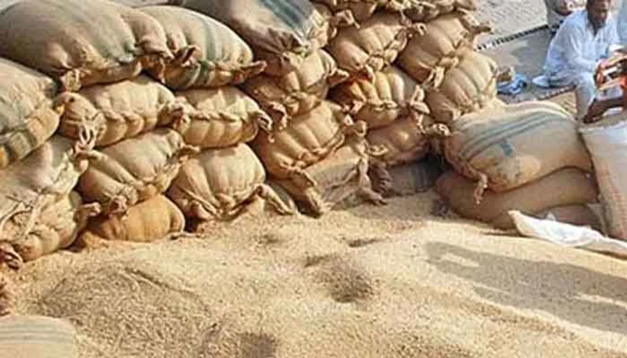  ରୁଷ, ୟୁକ୍ରେନରୁ ଆସୁନି ଗହମ ; ଭାରତରୁ ୧୦ ଲକ୍ଷ ଟନ ଗହମ କିଣିବ ଇଜିପ୍ଚ