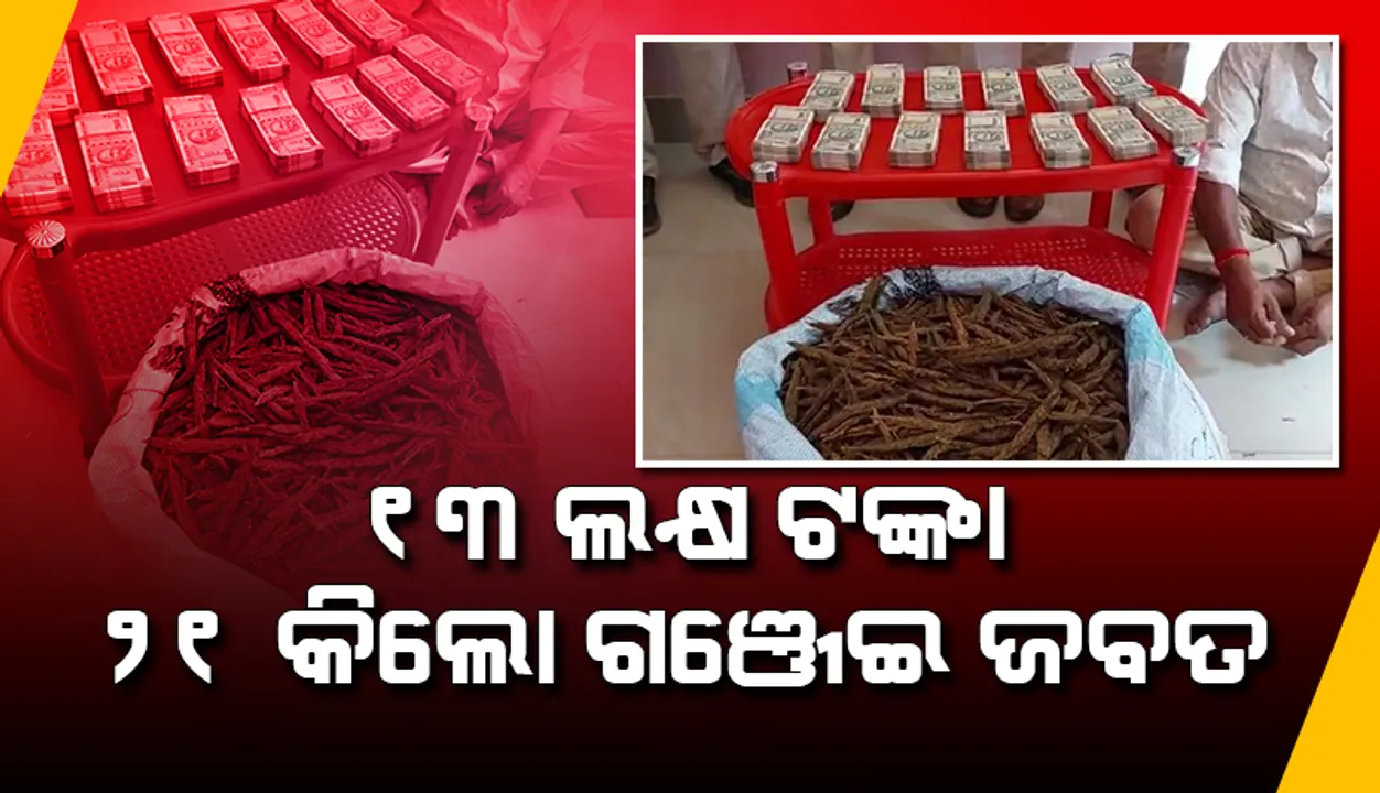  ୧୩ ଲକ୍ଷ ଟଙ୍କା ସହିତ ୨୧ କିଲୋ ଗଞ୍ଜେଇ ଜବତ, ଅଭିଯୁକ୍ତ ଗିରଫ