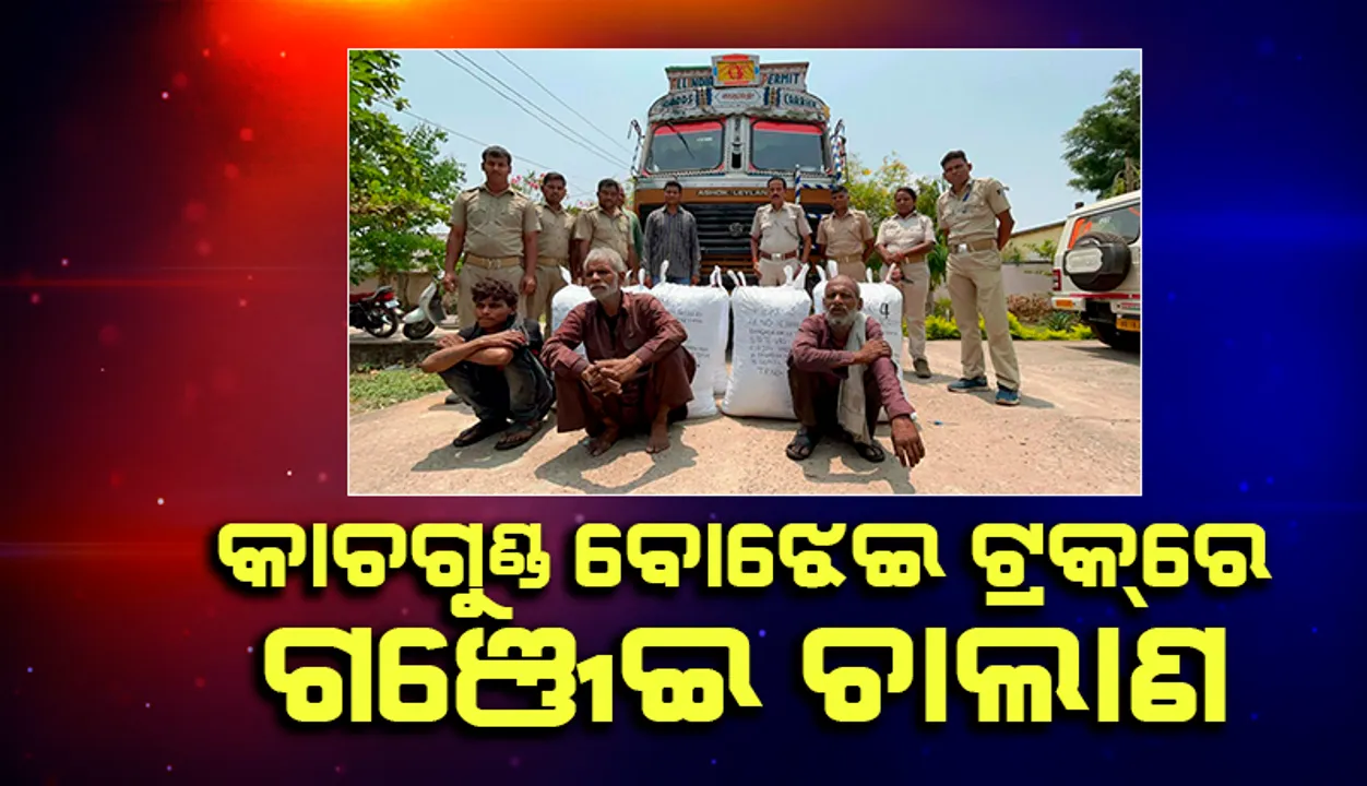  ରାୟଗଡ଼ାରୁ ଉତ୍ତରପ୍ରଦେଶ ଯାଉଥିଲା କାଚ ଗୁଣ୍ଡ ବୋଝେଇ ଟ୍ରକ୍‌; ଅଢ଼େଇ କ୍ବିଣ୍ଟାଲ୍ ଗଂଜେଇ ଜବତ, ୩ ଗିରଫ  