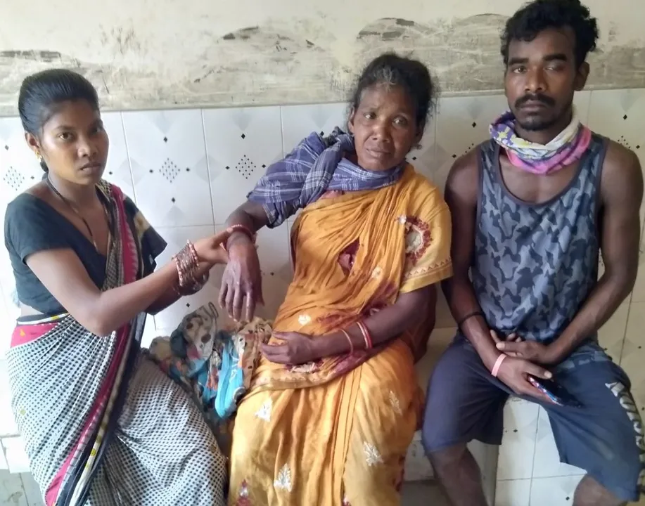  ଭାଲୁ ଆକ୍ରମଣରେ ମହିଳା ଗୁରୁତର