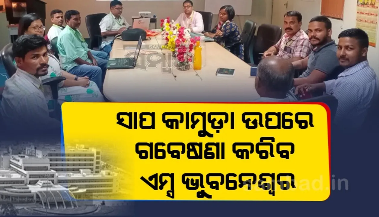  ସାପ କାମୁଡ଼ା ମୃତ୍ୟୁ ହ୍ରାସ ପାଇଁ ଗବେଷଣା କରିବ ଏମ୍‌ସ ଭୁବନେଶ୍ୱର