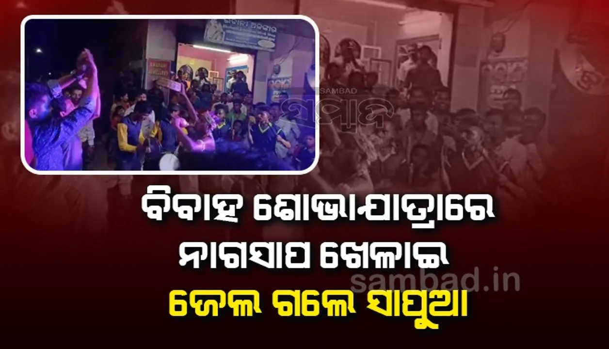  ମହଙ୍ଗା ପଡ଼ିଲା ନାଗ ସହ ନାଚ: କେଳା କୋର୍ଟ ଚାଲାଣ