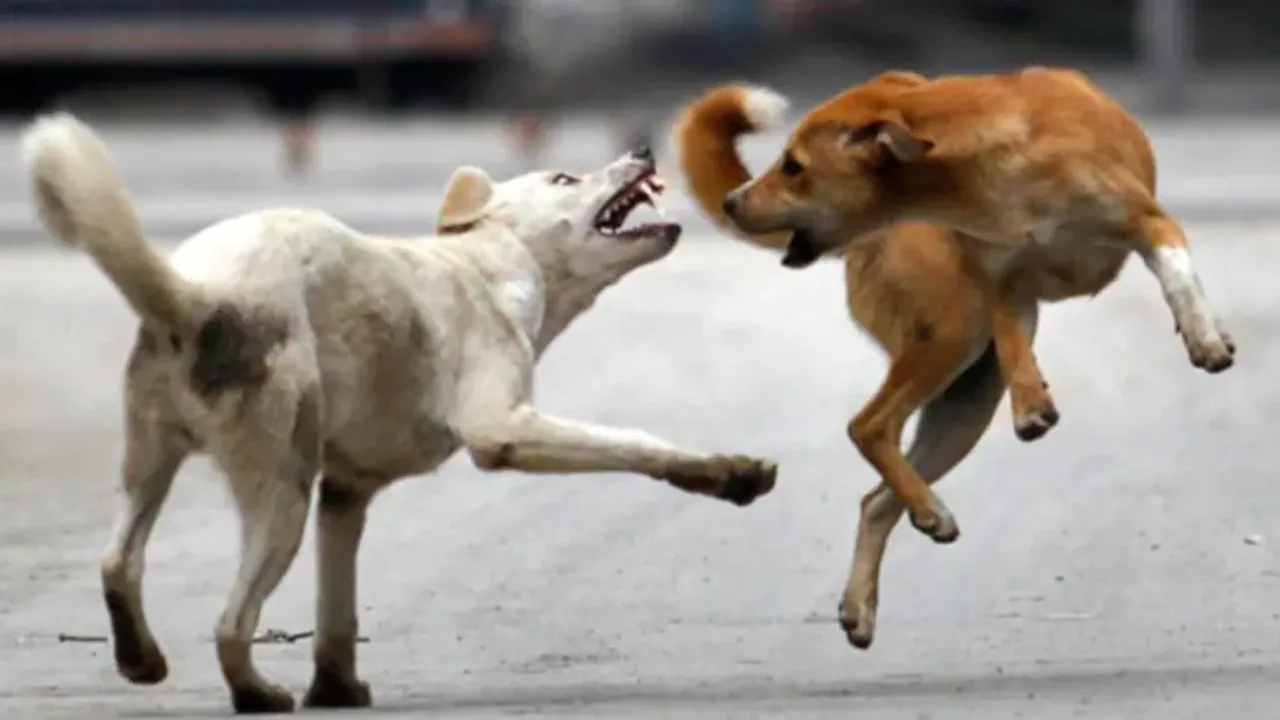  Image Courtesy of India Today 