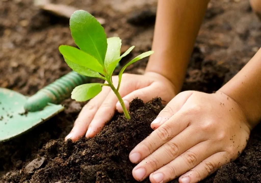  Image Courtesy of World  Land Trust 