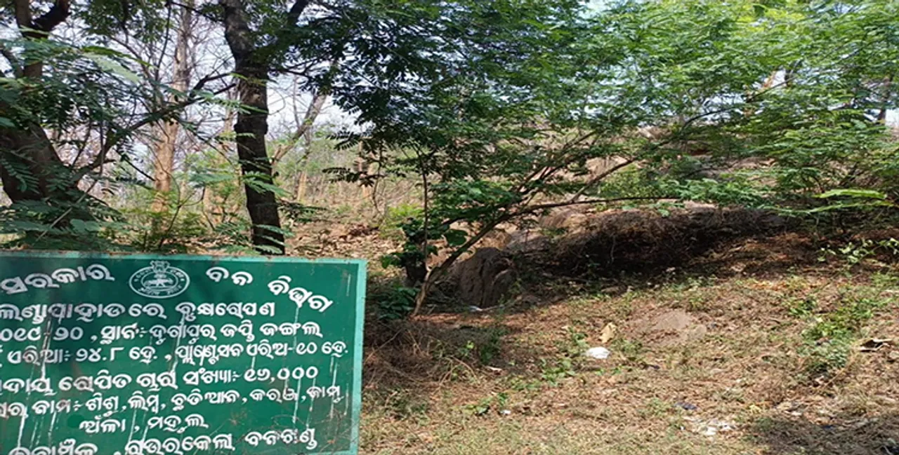  ଜଙ୍ଗଲ ସୁରକ୍ଷା ନାଁରେ ଖାଇଗଲେ ୭୦ କୋଟି!