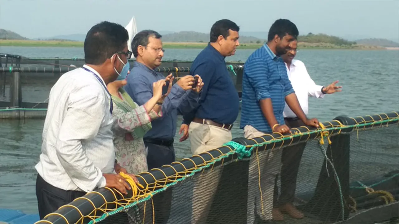  ‘ମଧୁର ମାଛ ଉତ୍ପାଦନକୁ ବହୁଗୁଣିତ କରିବ’