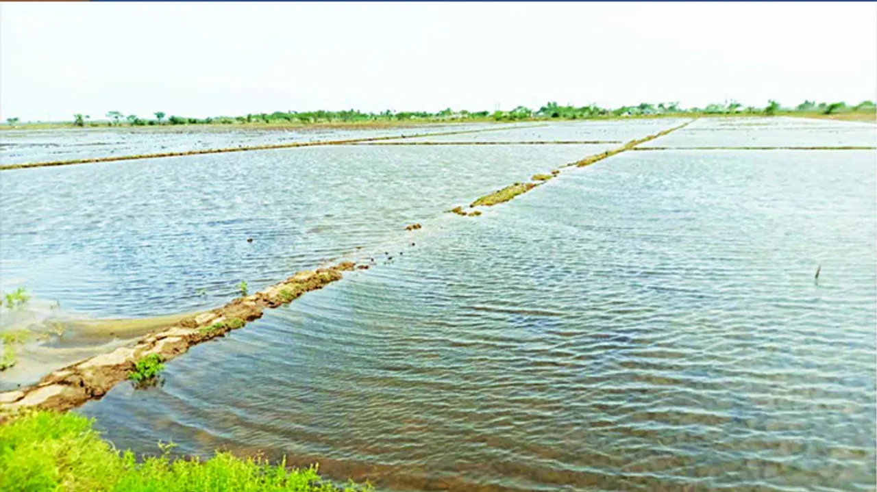  ‘ୟାସ୍‌’କୁ ବର୍ଷେ ବିତିଲା, ତଥାପି ବାବୁଙ୍କ ନିଦ ଭାଙ୍ଗିଲାନି