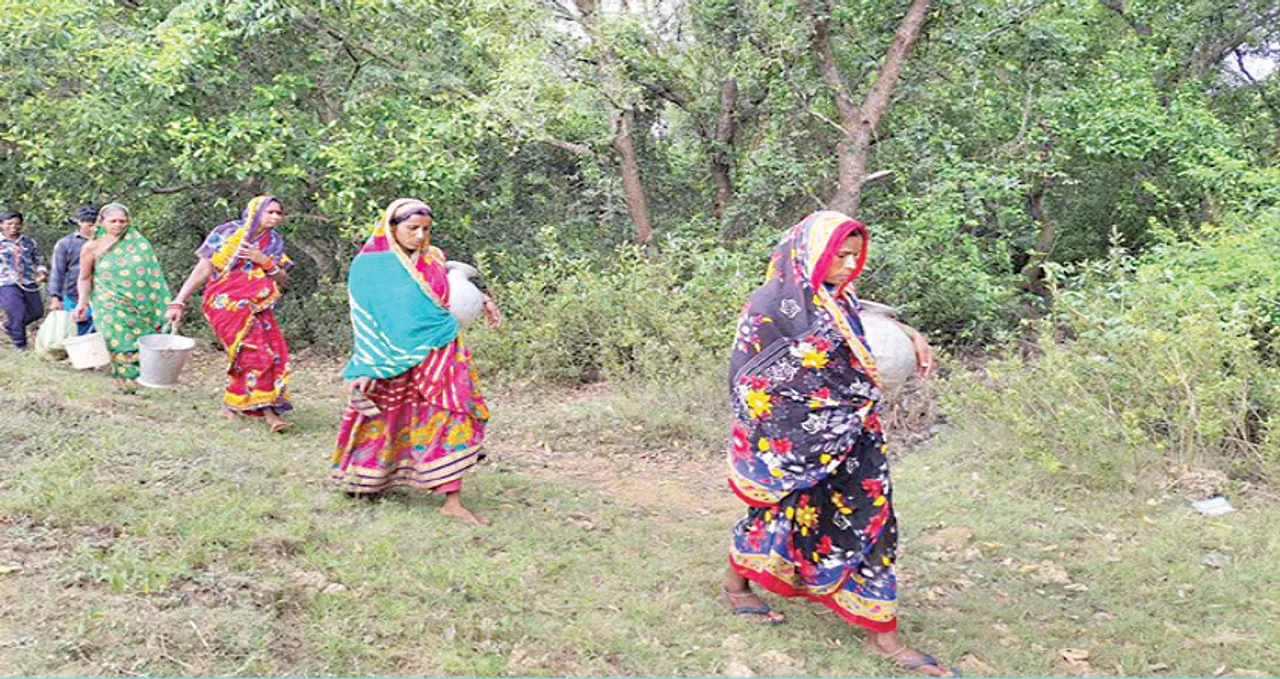  ପାଣି ଟୋପେ ପାଇଁ ବାଜିରେ ମହିଳାଙ୍କ ଜୀବନ: ବିପଦସଙ୍କୁଳ ଜଙ୍ଗଲ ରାସ୍ତାରେ ଦିନକୁ ଦୁଇ କିଲୋମିଟର ଯାତ୍ରା