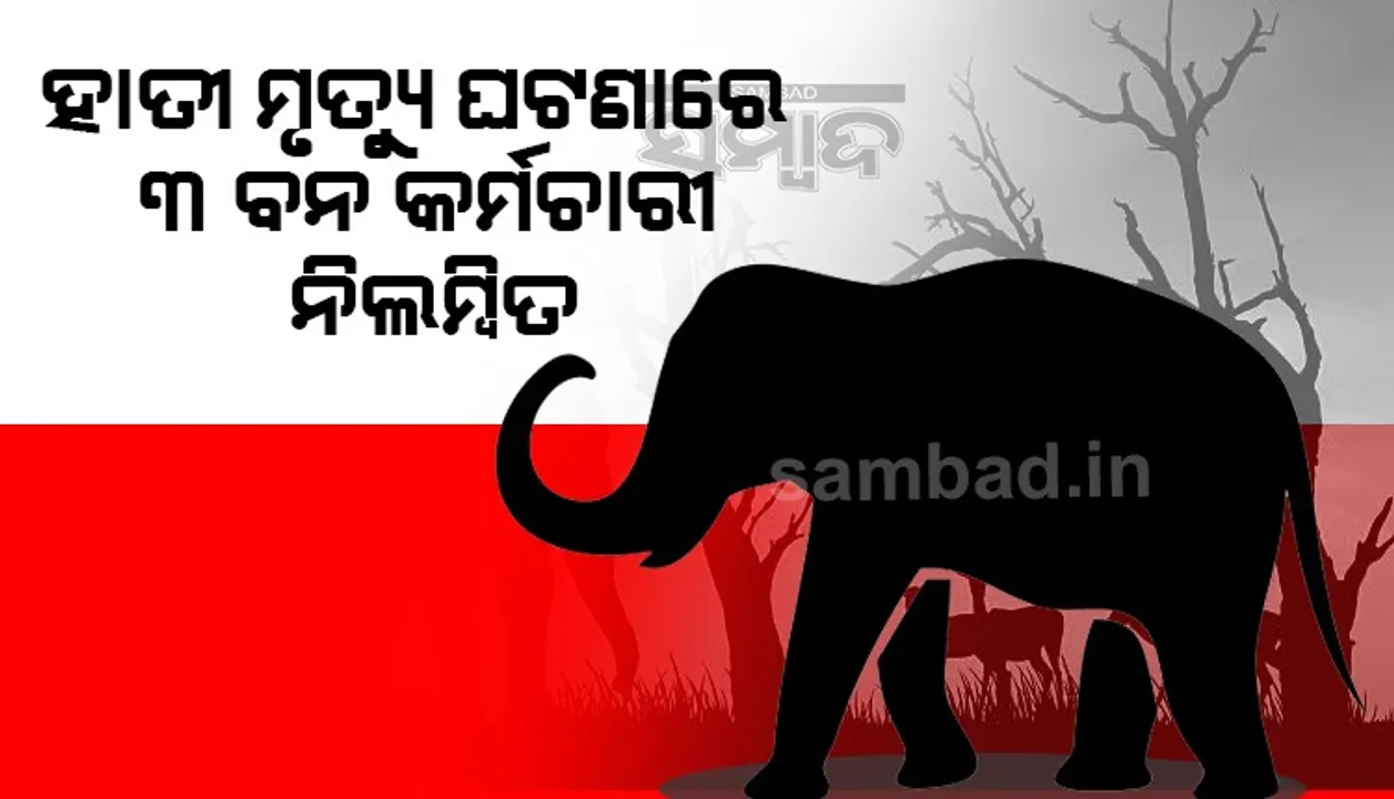  ତିନି ଦିନରେ ୨ ମୃତ ହାତୀ ଠାବ; ୩ ବନ କର୍ମଚାରୀ ନିଲମ୍ବିତ