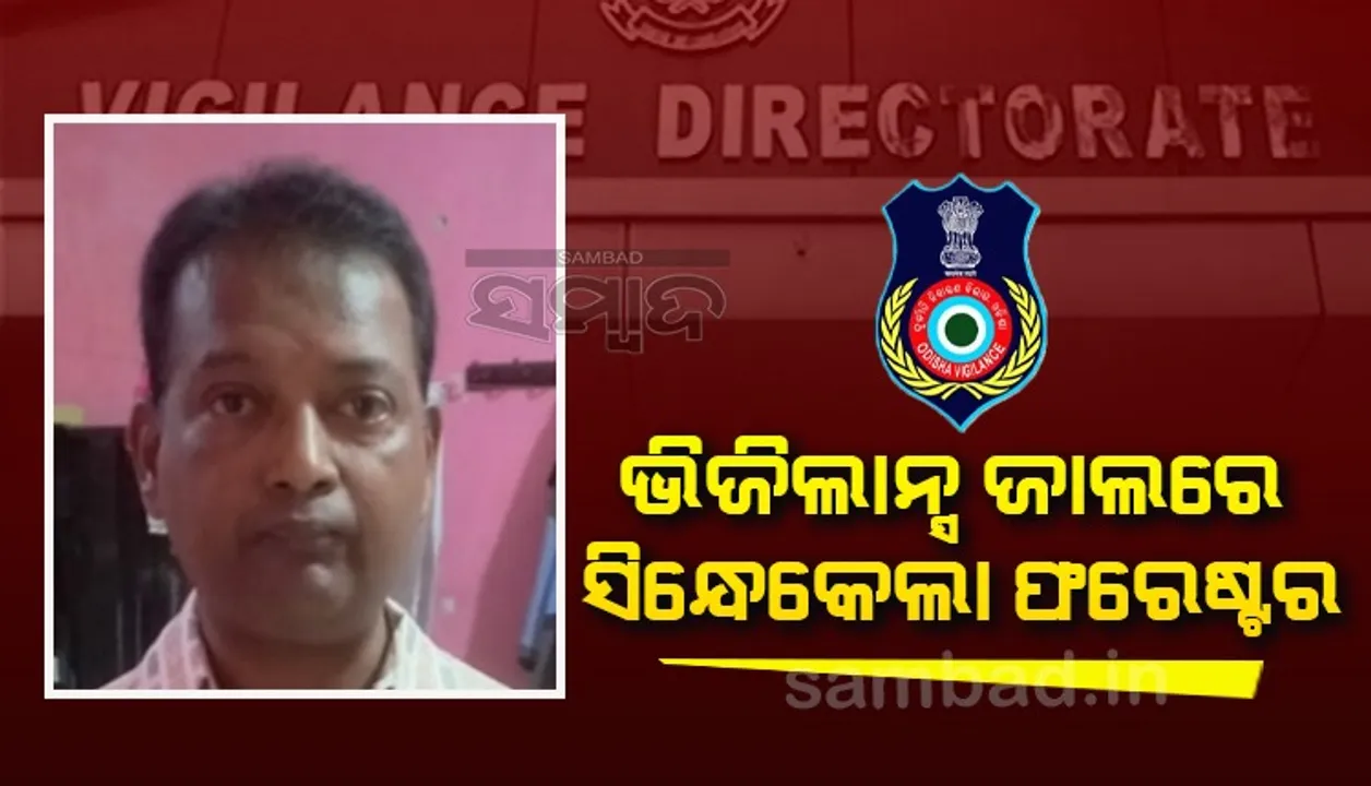  ଭିଜିଲାନ୍ସ ଜାଲରେ ସିନ୍ଧେକେଲା ଫରେଷ୍ଟର: ଲକ୍ଷେ ଟଙ୍କା ଲାଞ୍ଚ ନେଉଥିବା ବେଳେ ଧରାପଡ଼ିଲେ