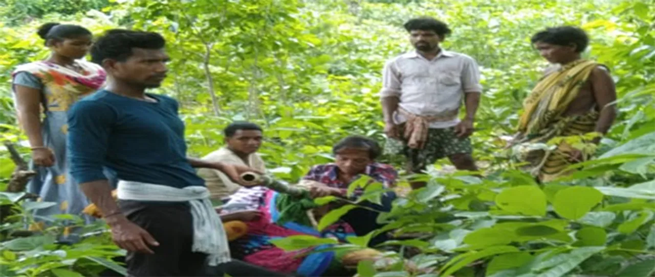  ପୁଣି ଜନନୀ ଯନ୍ତ୍ରଣା: ଭାରରେ ବୁହାହେଲେ, ଗଛତଳେ ପ୍ରସବ କଲେ