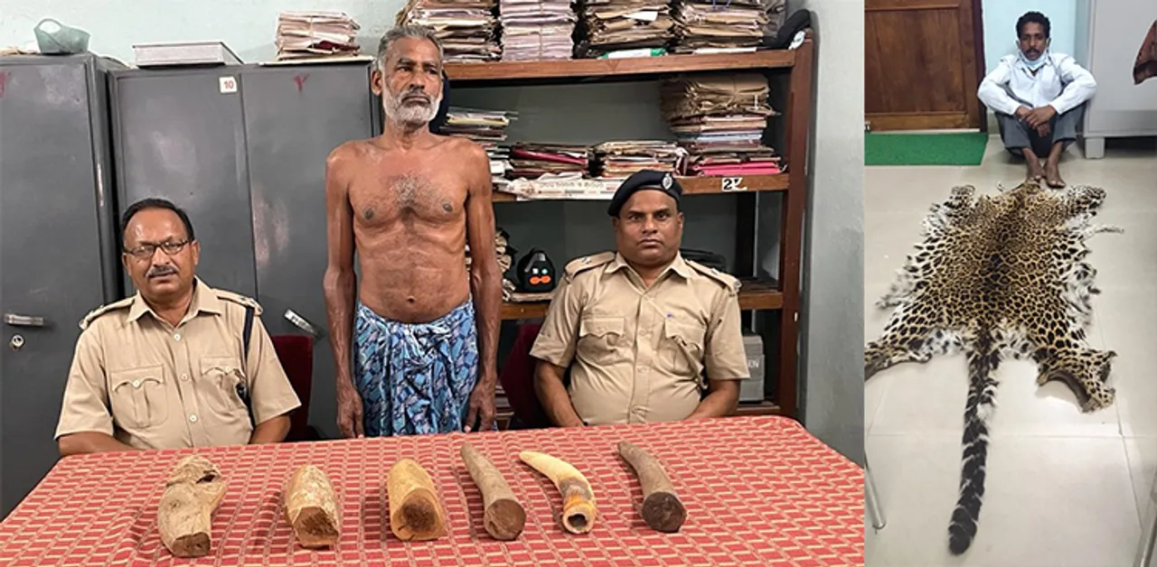  ବାଘଛାଲ ଓ ହାତୀଦାନ୍ତ ଜବତ, ୨ ଗିରଫ