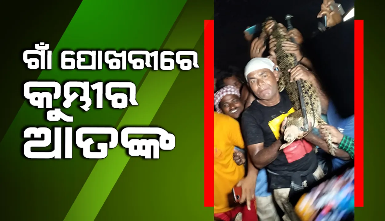  ପୋଖରୀରେ କୁମ୍ଭୀର ଆତଙ୍କ: ଉଦ୍ଧାର ପାଇଁ ବନ ବିଭାଗ-ଅଗ୍ନିଶମ ବିଭାଗର ଉଦ୍ୟମ ଜାରି