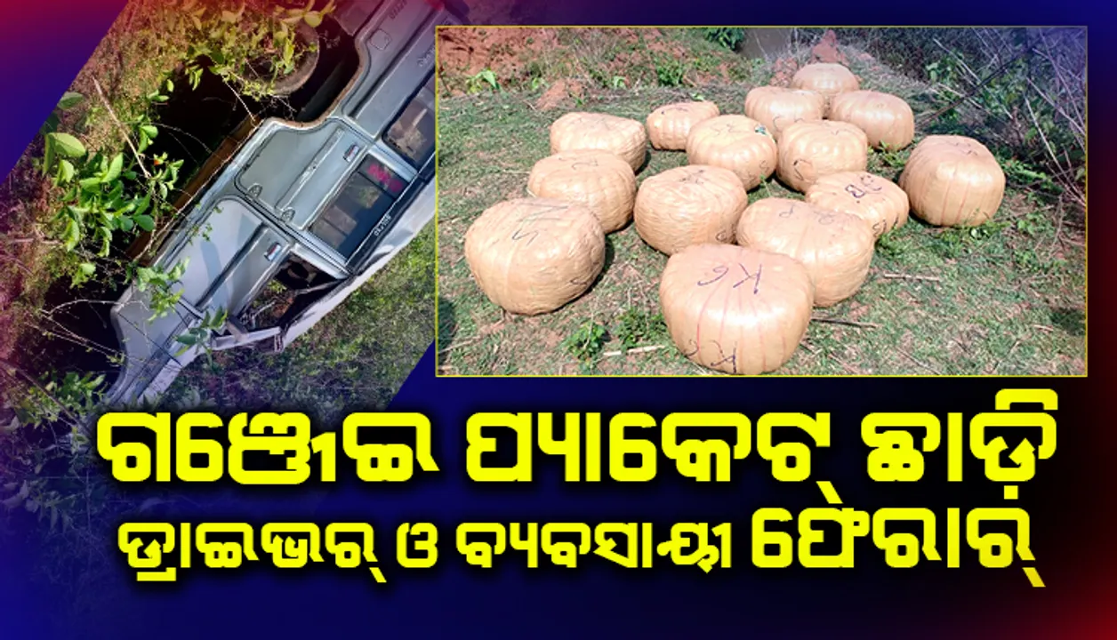  ଓଲଟିଲା ବୋଲେରୋ: ୧୪ ପକେଟ୍ ଗଞ୍ଜେଇ ଛାଡ଼ି ଡ୍ରାଇଭର ଓ ବ୍ୟବସାୟୀ ଫେରାର୍