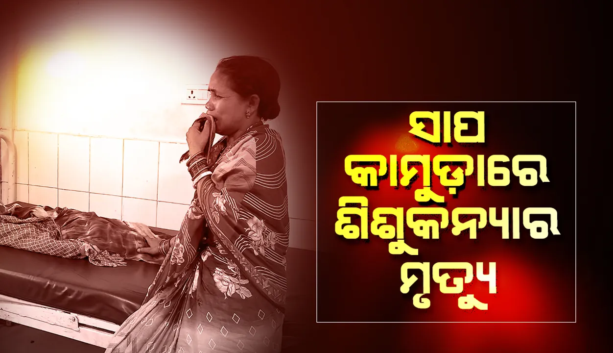  ବିଷାକ୍ତ ସାପ କାମୁଡ଼ାରେ ଶିଶୁକନ୍ୟାର ମୃତ୍ୟୁ