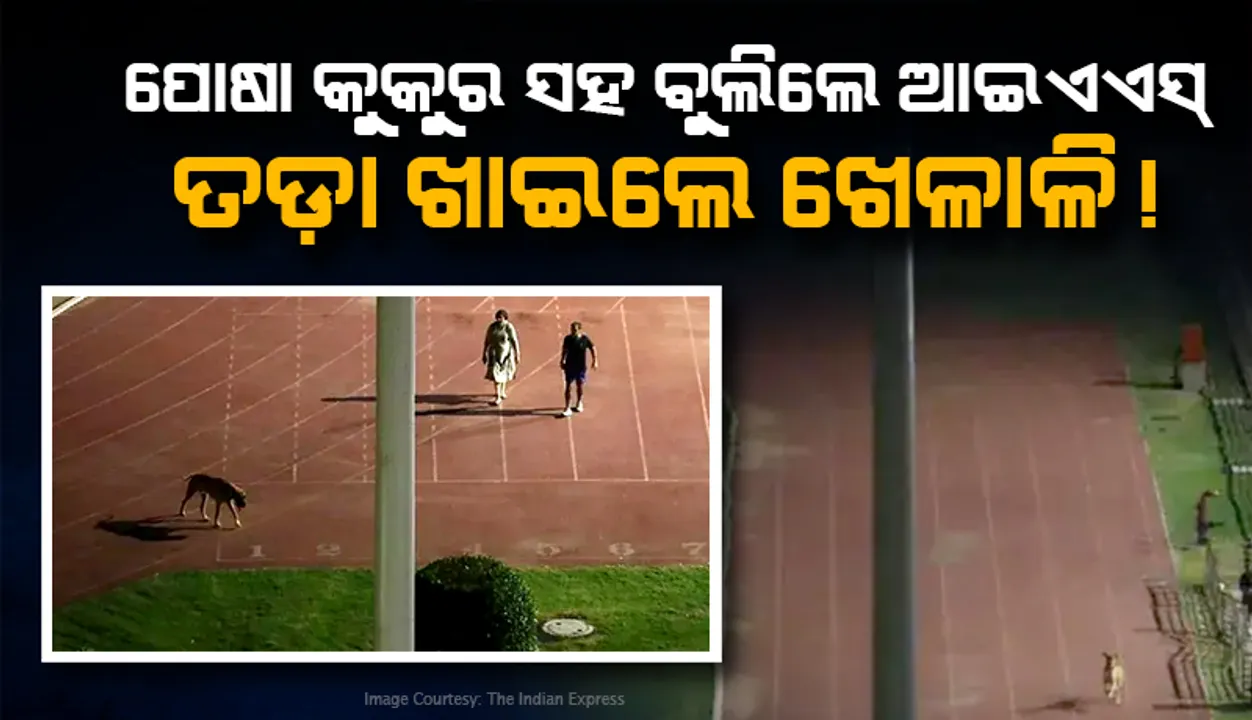  ଖେଳାଳିଙ୍କ ପାଇଁ ଷ୍ଟାଡିୟମ୍‌; ହେଲେ ଆଇଏଏସ୍‌ଙ୍କ କୁକୁର ପାଇଁ ସମୟ ପୂର୍ବରୁ କରାହେଉଛି ପଡ଼ିଆ ଖାଲି