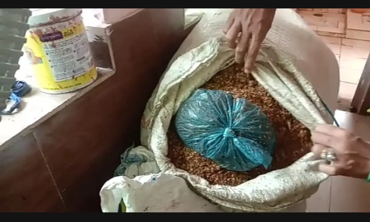  ଭଦ୍ରକ‌ରେ ବିପୁଳ ପରିମାଣରେ ନକଲି ଜର୍ଦ୍ଦା ଜବତ