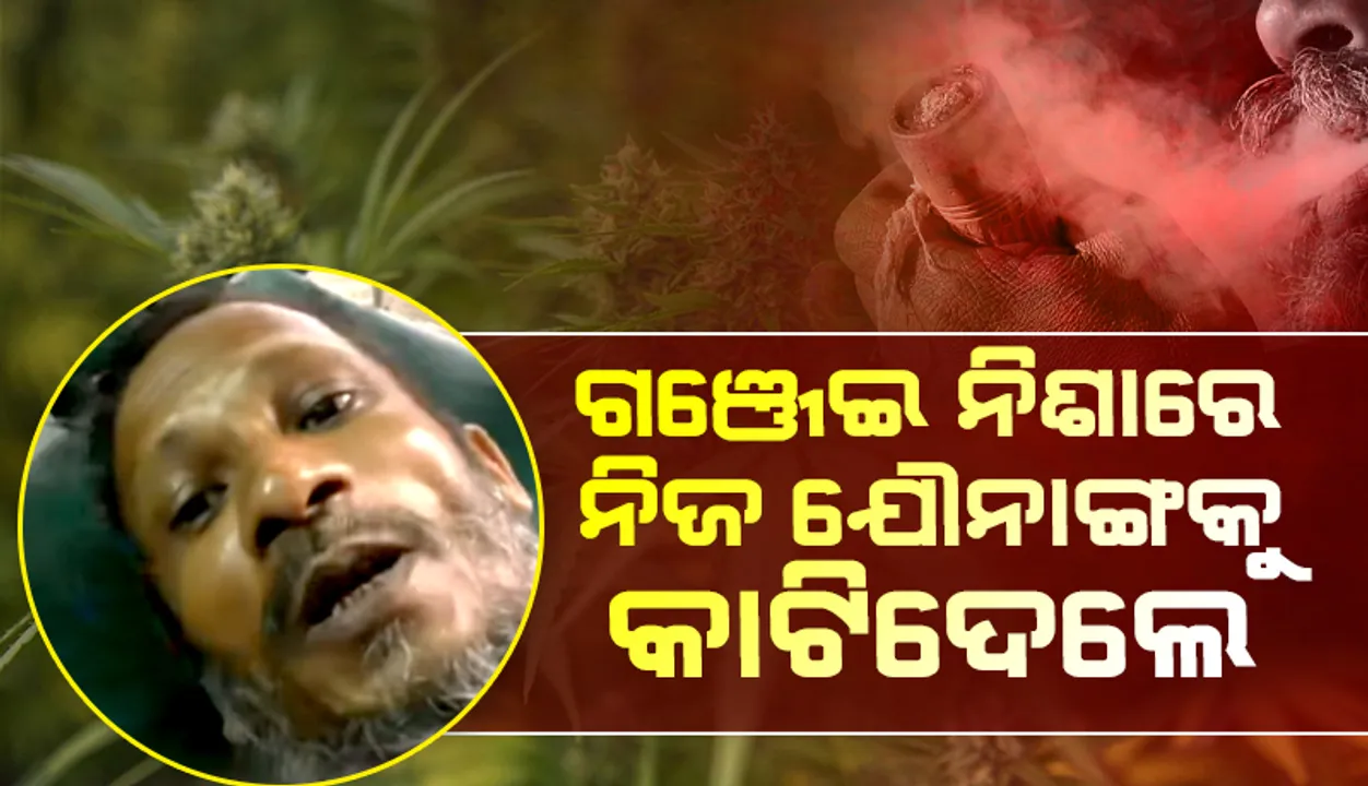  ଗଞ୍ଜେଇ ନିଶାରେ ନିଜକୁ ନଂପୁସକ କରିଦେଲେ, ଦେଖନ୍ତୁ ଭିଡିଓରେ କ’ଣ କହୁଛନ୍ତି ବ୍ୟକ୍ତି ଜଣକ