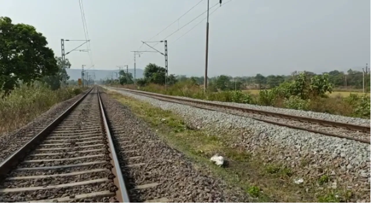  ଟ୍ରେନ ଧକ୍କାରେ ଚାଲିଗଲା ବୃଦ୍ଧ ଭାଲୁର ଜୀବନ