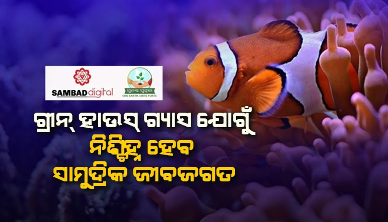  ଗ୍ରୀନ ହାଉସ୍ ଗ୍ୟାସ ଯୋଗୁଁ ନିଶ୍ଚିହ୍ନ ହେବ ସାମୁଦ୍ରିକ ଜୀବଜଗତ