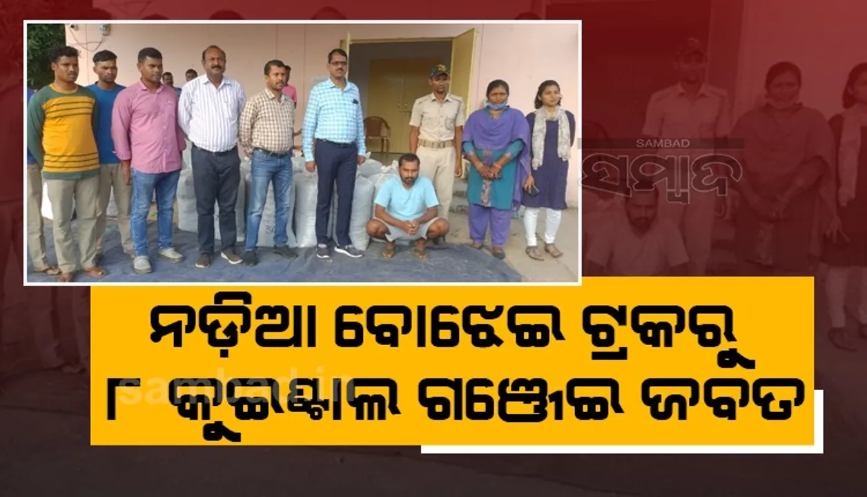  ନଡ଼ିଆ ବୋଝେଇ ଟ୍ରକ୍‌ରେ କୋରାପୁଟରୁ ଛତିଶଗଡ଼କୁ ଚାଲାଣ ହେଉଥିଲା ୮ କୁଇଣ୍ଟାଲ ଗଂଜେଇ