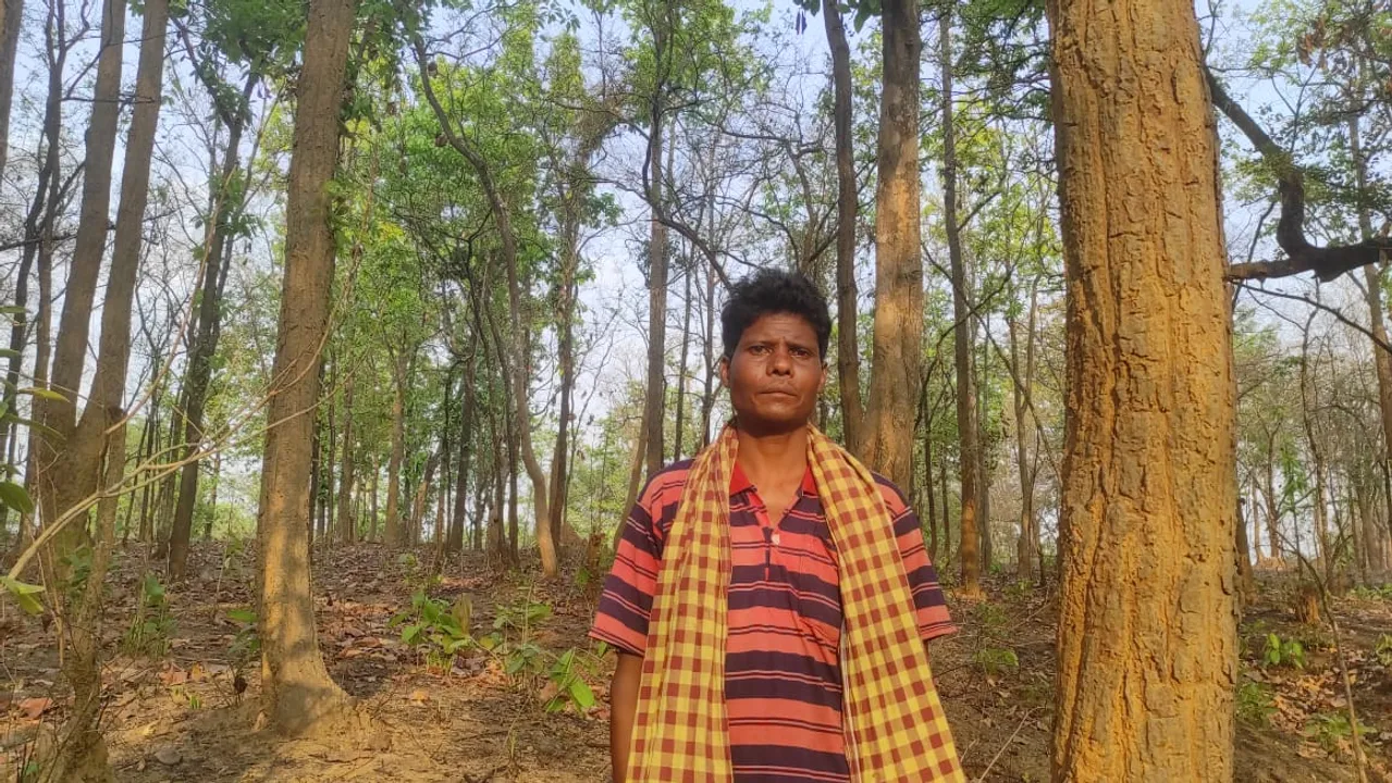  ଦିନ ମଜୁରିଆଙ୍କ ଗଛ ପ୍ରେମ; ତିଆରି କରିଛନ୍ତି ୨ ଏକରର ଜଙ୍ଗଲ