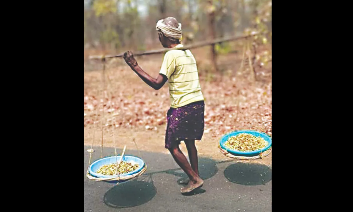  ବନଜାତ ଦ୍ରବ୍ୟର ଅଭାବୀ ବିକ୍ରି, ପଞ୍ଚାୟତସ୍ତରରେ ମଣ୍ଡି ବ୍ୟବସ୍ଥା ପାଇଁ ତେଜୁଛି ଦାବି