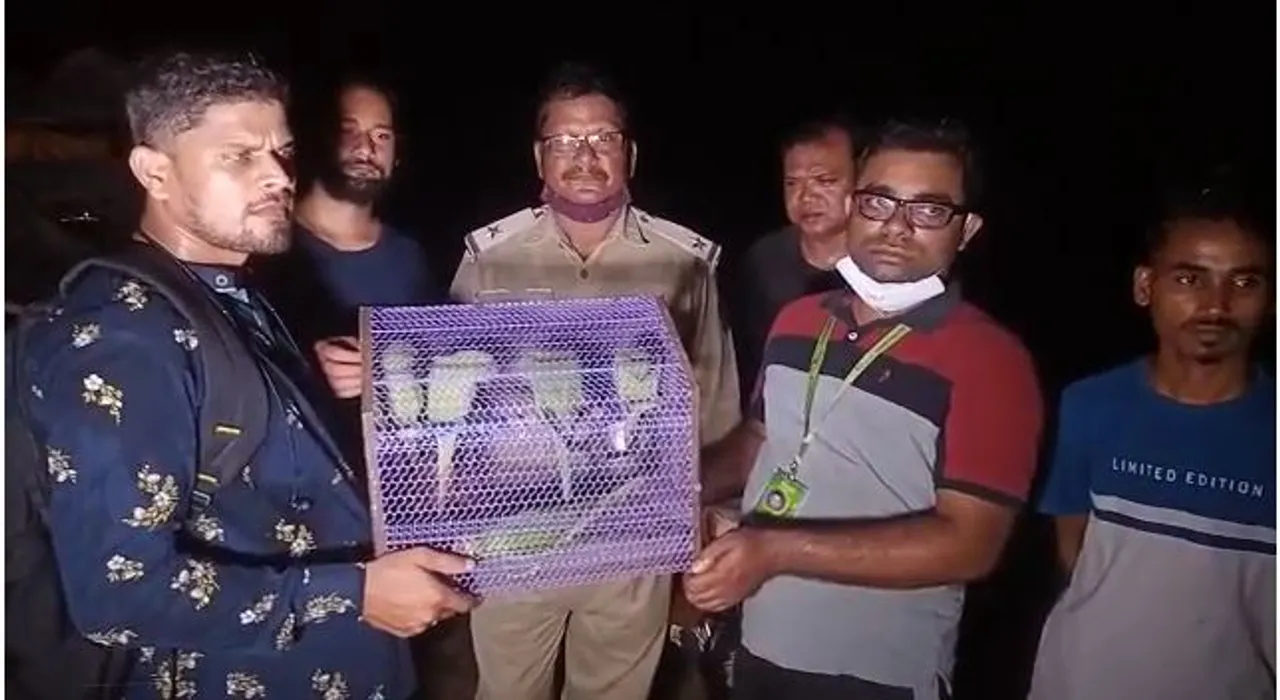  ରାଜ୍ୟ ବାହାରକୁ ଚୋରା ଚାଲାଣ ହେଉଛି ଶୁଆ: ୫ ଶୁଆ ଉଦ୍ଧାର କଲା ବନ ବିଭାଗ