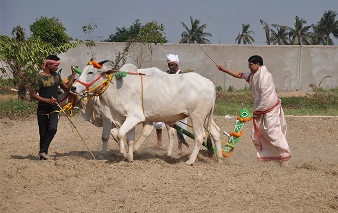  ଓଡ଼ିଶା ଏବେ ବିକାଶର ଭୂଖଣ୍ଡ: ଅରୁଣ