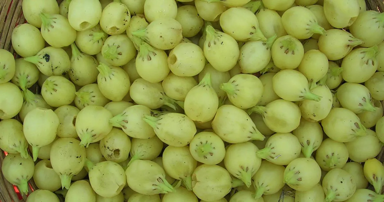  ଆଦିବାସୀଙ୍କୁ ମିଳୁନି ମହୁଲର ଉଚିତ ମୁଲ