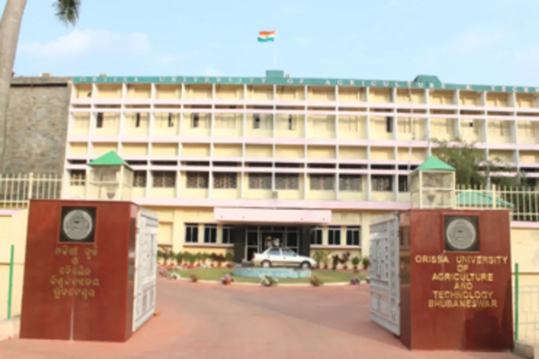  ରାଜ୍ୟ‌ରେ ଏମିତି ଚାଲିଛି ବିଶ୍ୱବିଦ୍ୟାଳୟ