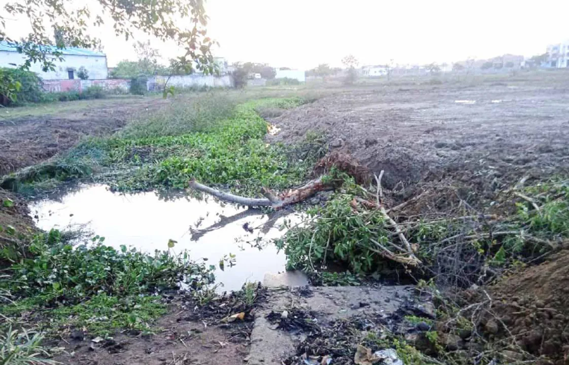  ରାତାରାତି ପୋଖରୀ ଗାଏବ, ପୋତିଲା କିଏ? ପୁନରୁଦ୍ଧାର ଦାବି