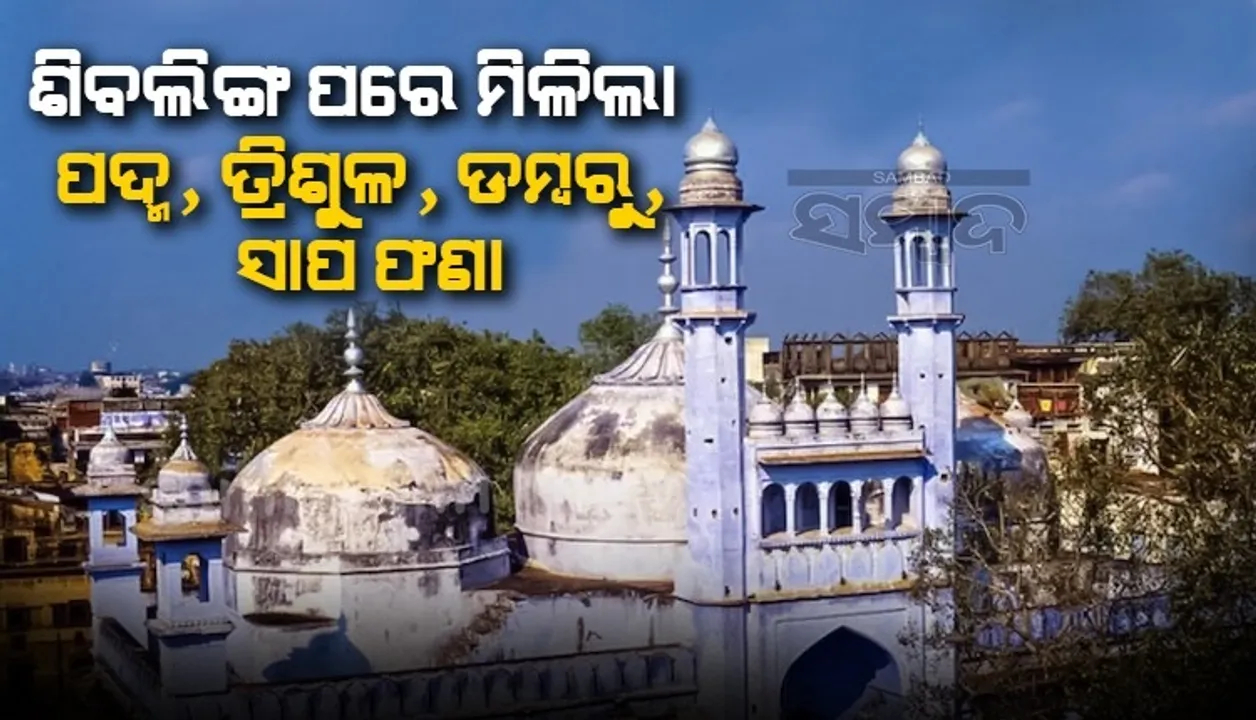  ସର୍ଭେ ରିପୋର୍ଟରେ ଖୁଲାସା: କେବଳ ଶିବଲିଙ୍ଗ ନୁହେଁ, ଜ୍ଞାନବାପି ମସଜିଦ ଭିତରେ ଅଛି ପଦ୍ମ, ତ୍ରିଶୁଳ, ଡମ୍ବୁର ଓ ‌ସାପଫଣା