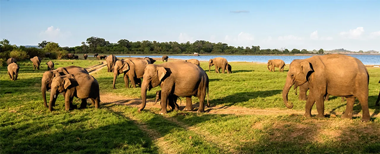  Natural World Safaris 