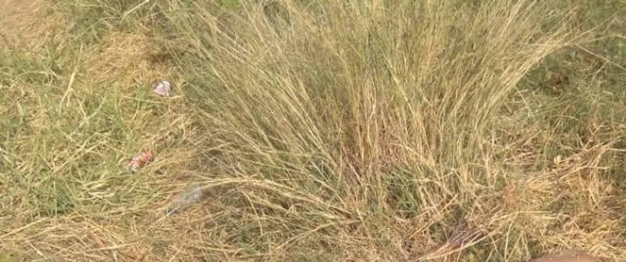  ଅଜଣା ଯୁବକର କ୍ଷତାକ୍ତ ମୃତଦେହ ଉଦ୍ଧାର