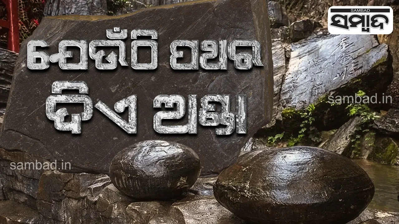  ବିଶ୍ବାସ ନହେଲେ ବି ସତ; ପଥର ଦିଏ ଅଣ୍ଡା, ୩୦ ବର୍ଷରେ ଥରେ ବାହାରିଥାଏ