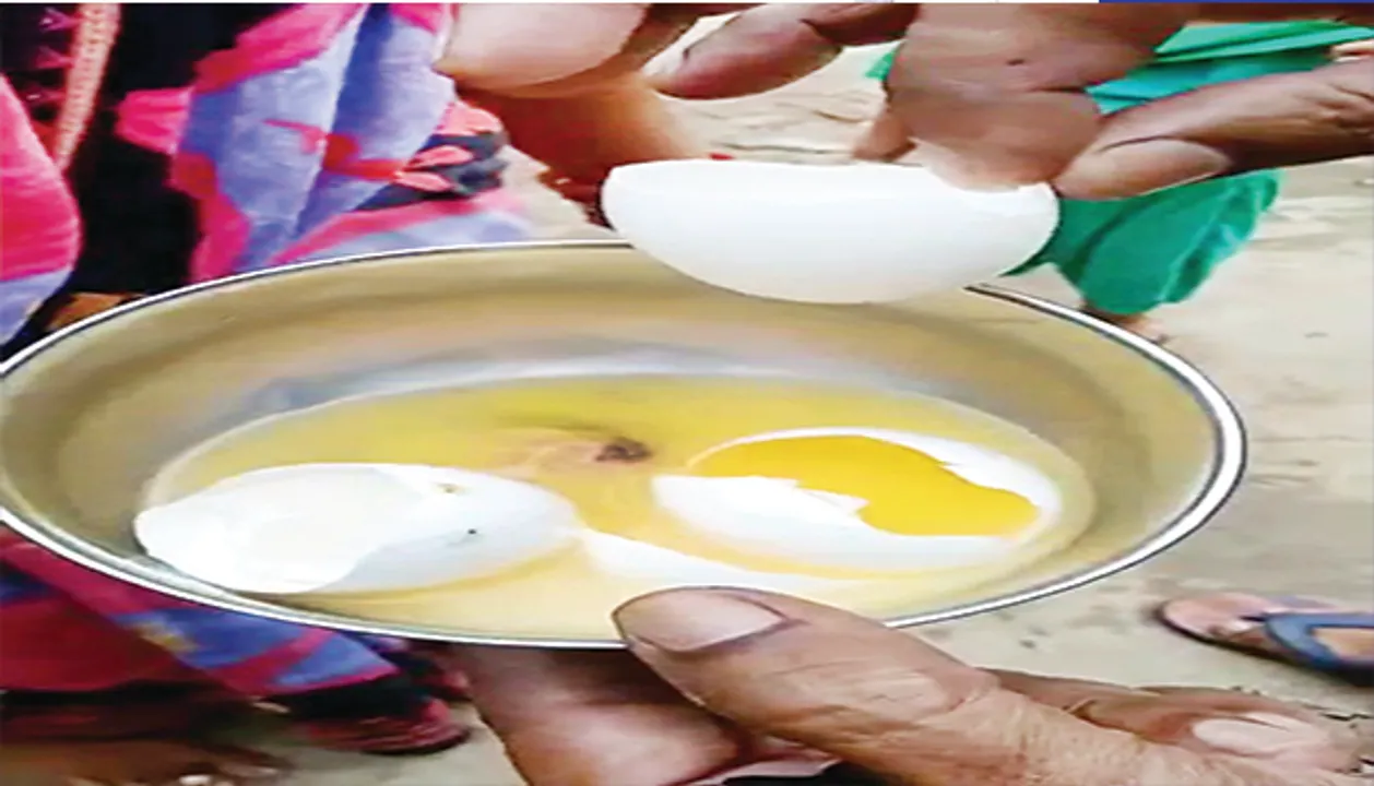  ଅଙ୍ଗନବାଡ଼ି କେନ୍ଦ୍ରର ଶିଶୁଙ୍କୁ ନିମ୍ନମାନର ଖାଦ୍ୟ, କୁକୁଡ଼ା ଅଣ୍ଡାରୁ ବାହାରିଲେ ଚିଆଁ