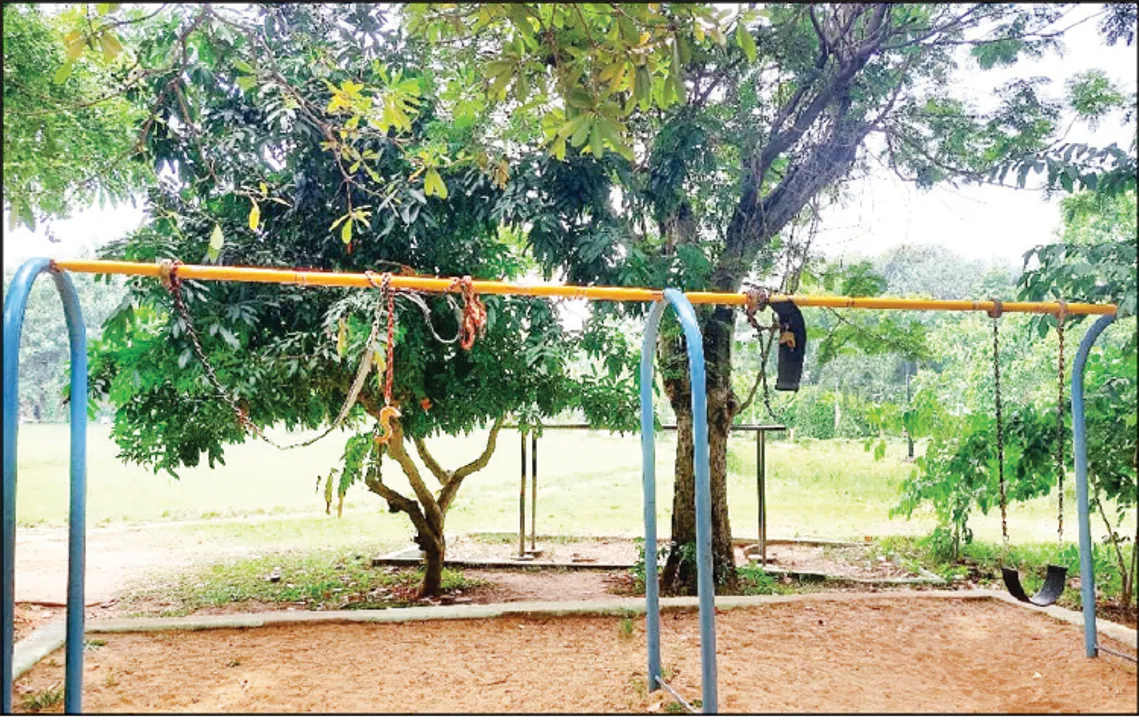  ଇନ୍ଦିରା ଗାନ୍ଧୀ ପାର୍କ: ଉପରକୁ ଚିକ୍କଣ, ଭିତରେ ପୁଳାପୁଳା ସମସ୍ୟା