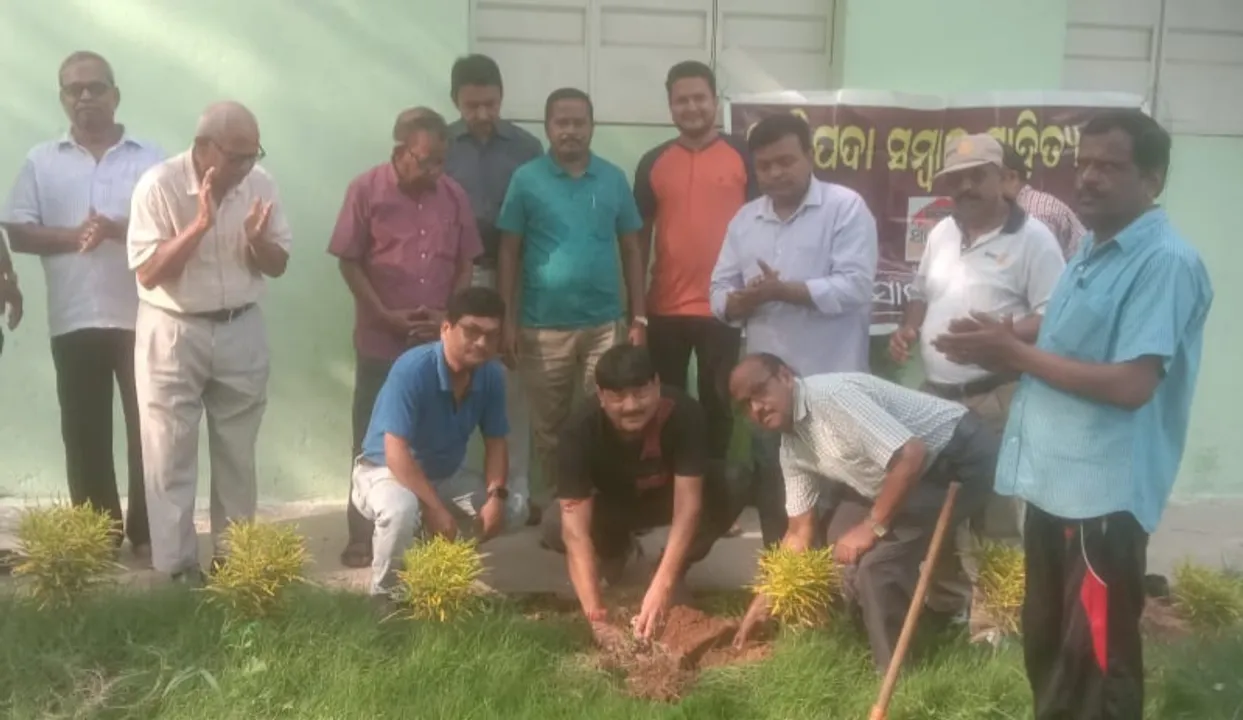  ବାରିପଦା: ଏମକେସି ହାଇସ୍କୁଲରେ ସମ୍ବାଦ ସାହିତ୍ୟ ଘର ପକ୍ଷରୁ ବୃକ୍ଷରୋପଣ