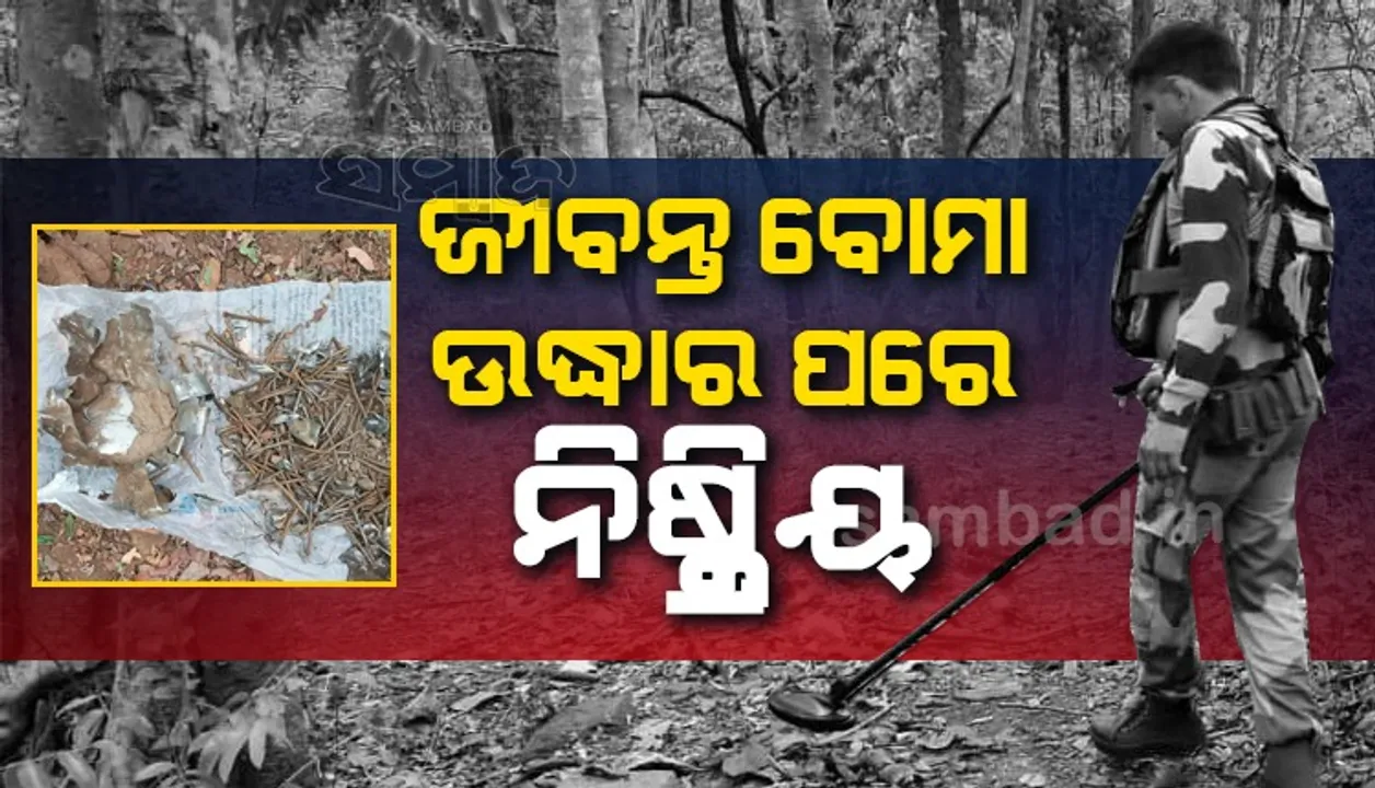  ବିଏସ୍ଏ‌ଫ୍‌ ଶିବିର ନିକଟରୁ ଜୀବନ୍ତ ବୋମା ଉଦ୍ଧାର, ଅଘଟଣ ପୂର୍ବରୁ ନିଷ୍କ୍ରିୟ କଲେ ଯବାନ